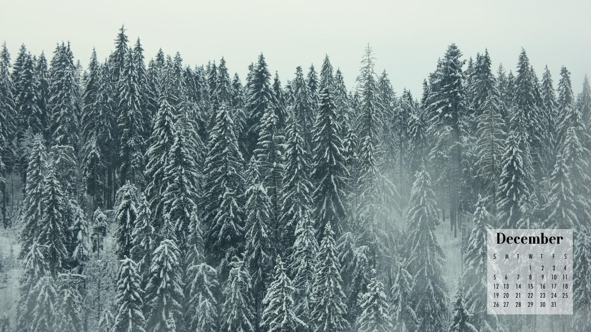 1920x1080 December Calendar Wallpaper Best Desktop & Phone Background