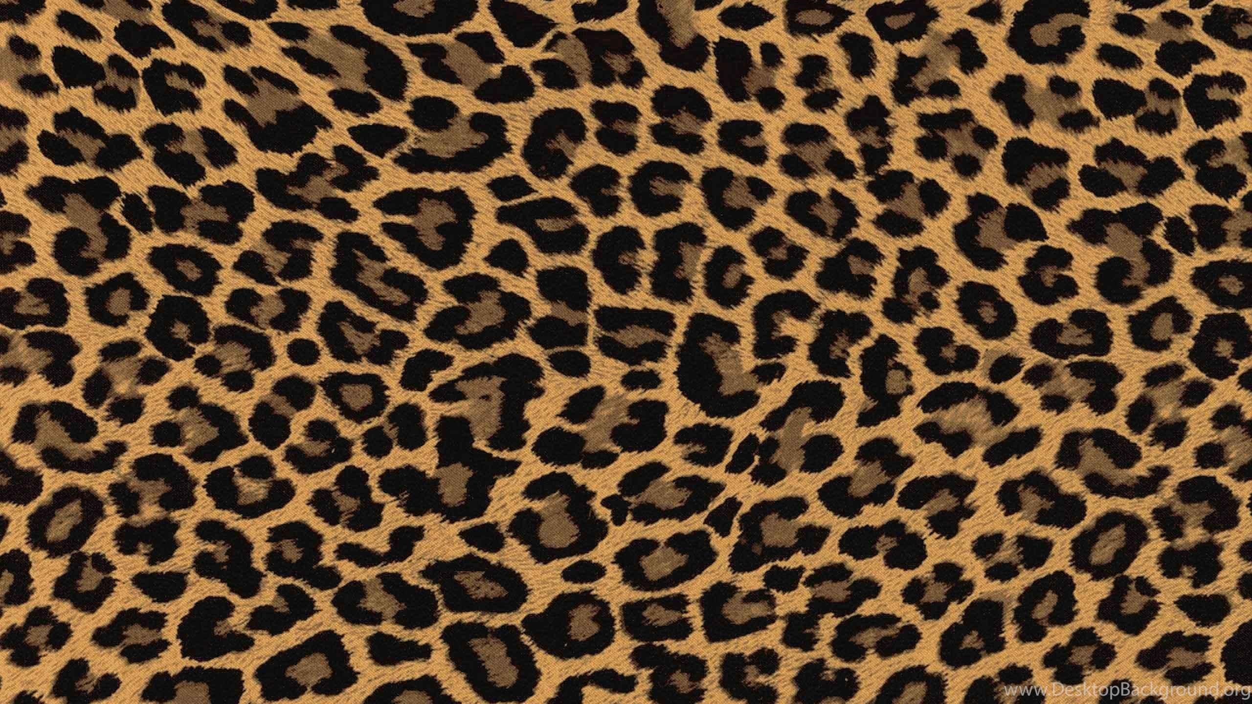 2560x1440 Leopard Skin Wallpaper Wide Desktop Background