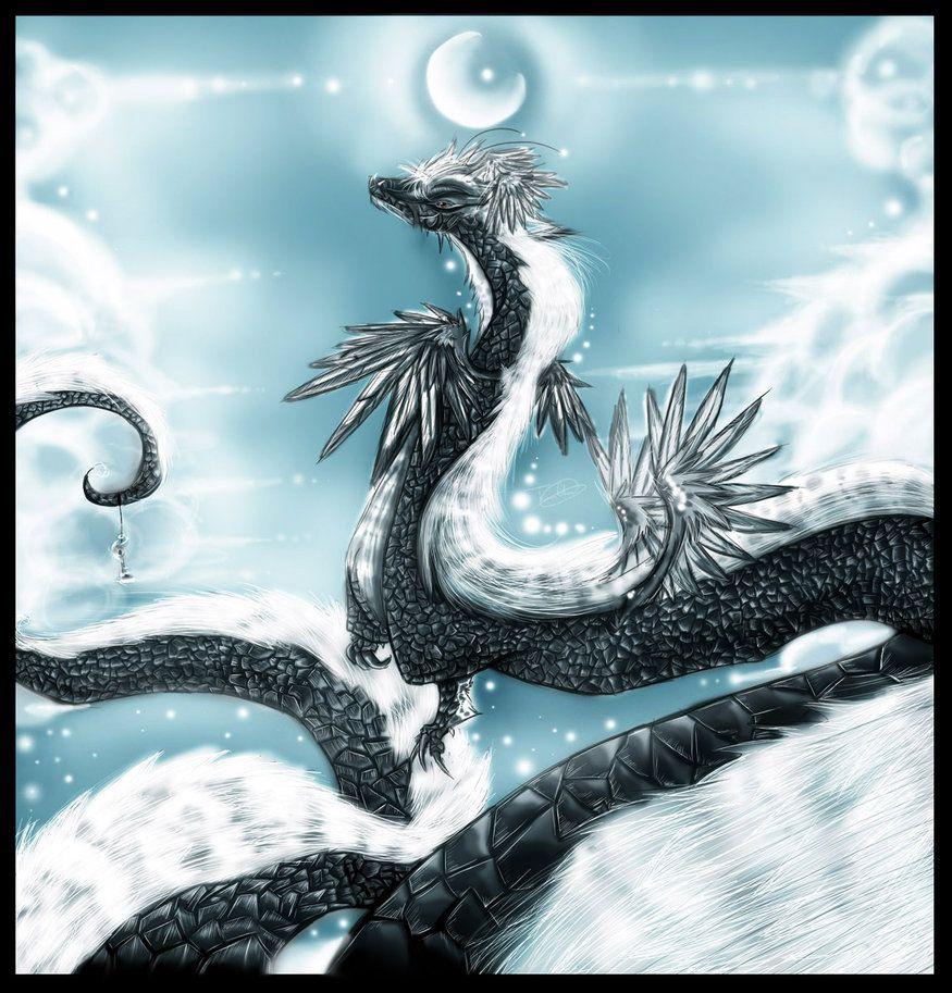 875x913 Dragons image Yin and Yang Dragon HD wallpaper and background