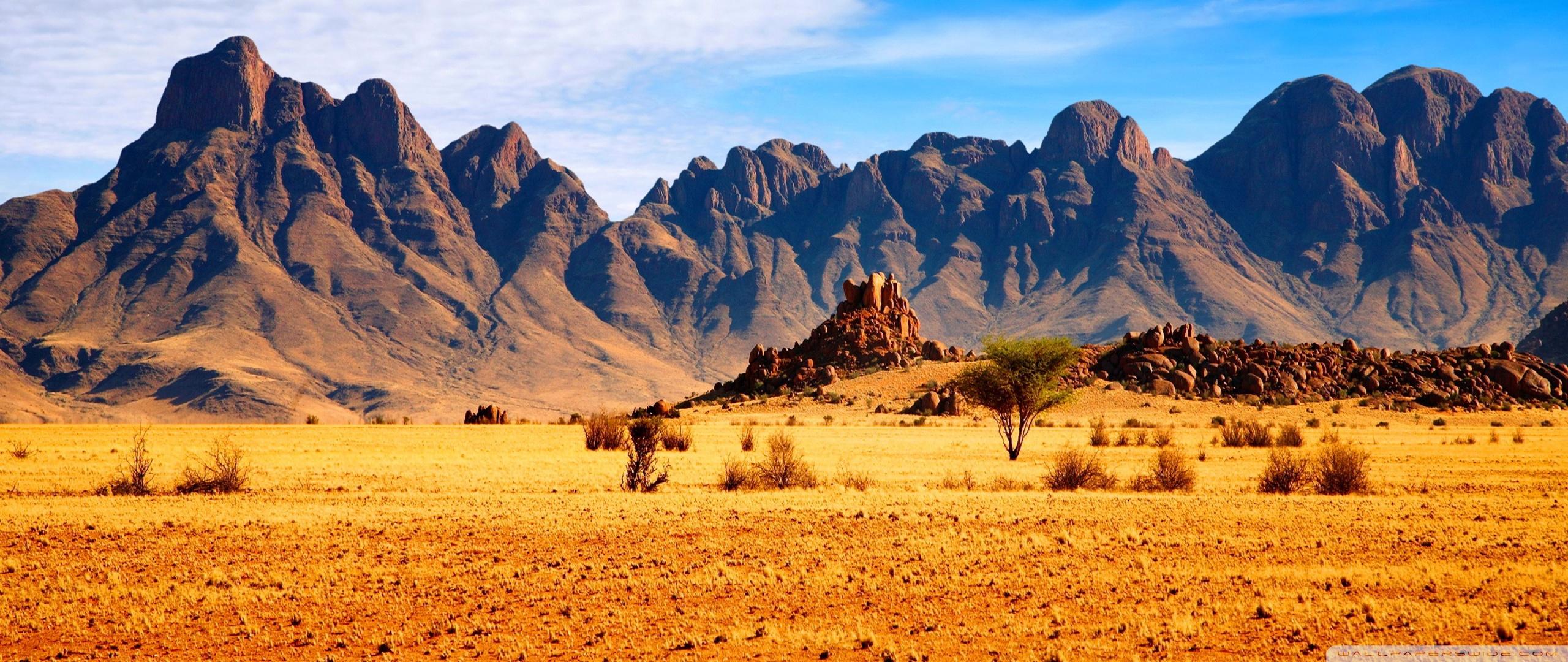 2560x1080 African Savanna Ultra HD Desktop Background Wallpaper for 4K UHD TV : Tablet