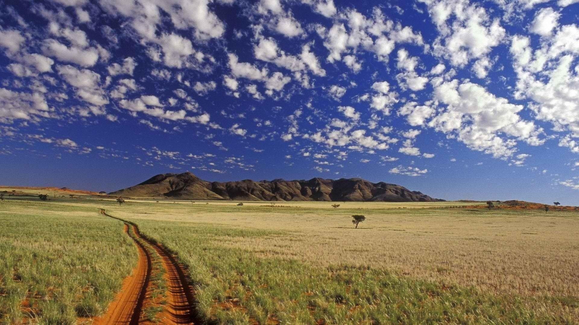 1920x1080 African Savanna Wallpaper