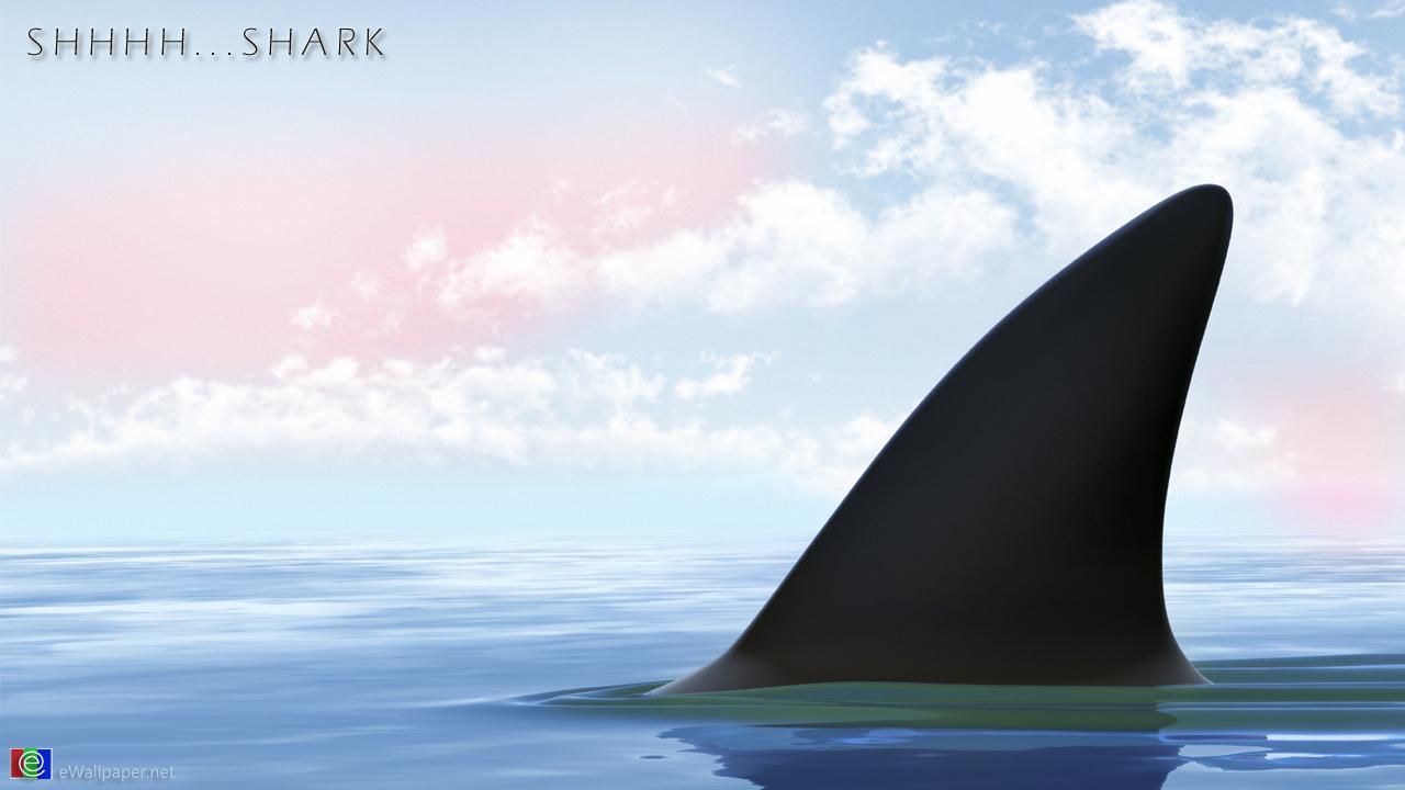 1280x720 Free download Hammerhead Shark Wallpaper HD Shark Wallpaper [1280x720] for your Desktop, Mobile & Tablet. Explore Free Shark Live Wallpaper. Live Shark Wallpaper for PC, Shark Wallpaper
