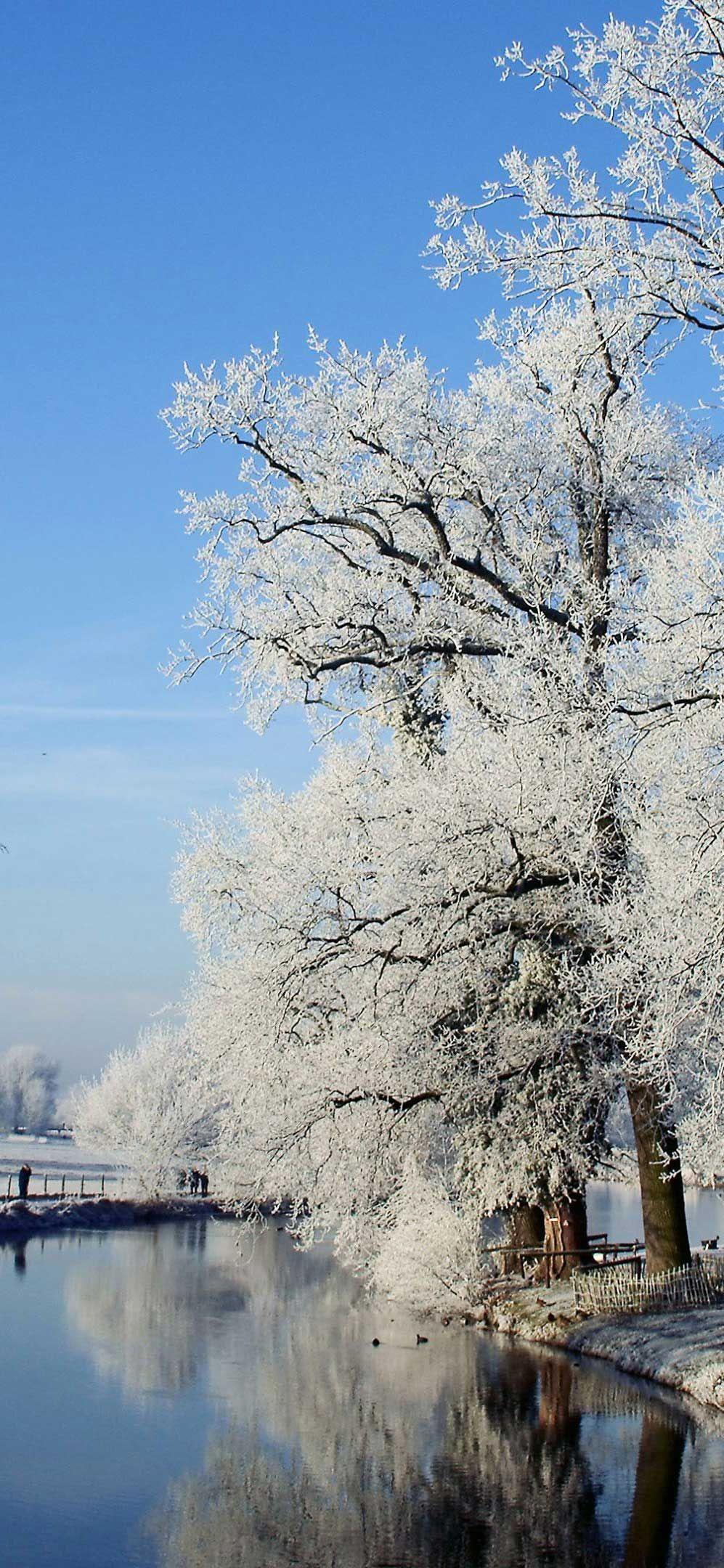 997x2160 iPhone X Wallpaper Winter landscape utrecht netherlands wallpaper HD 4K of Wallpaper for Andriod