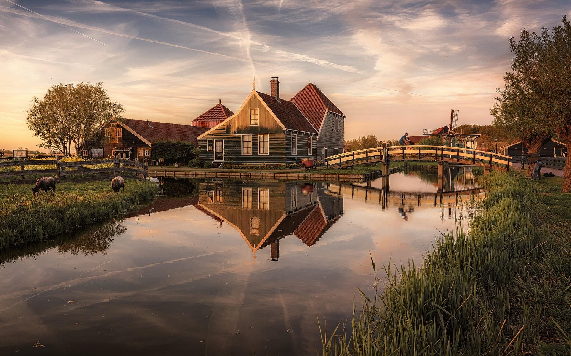 1920x1200 #sheep, #clouds, #canal, #Netherlands, #grass, #Zaanse Schans, #windmill, #bridge, #house, #trees, #nature, #sunset, #landscape, #water, #fence, #reflection, wallpaper HD Wallpaper