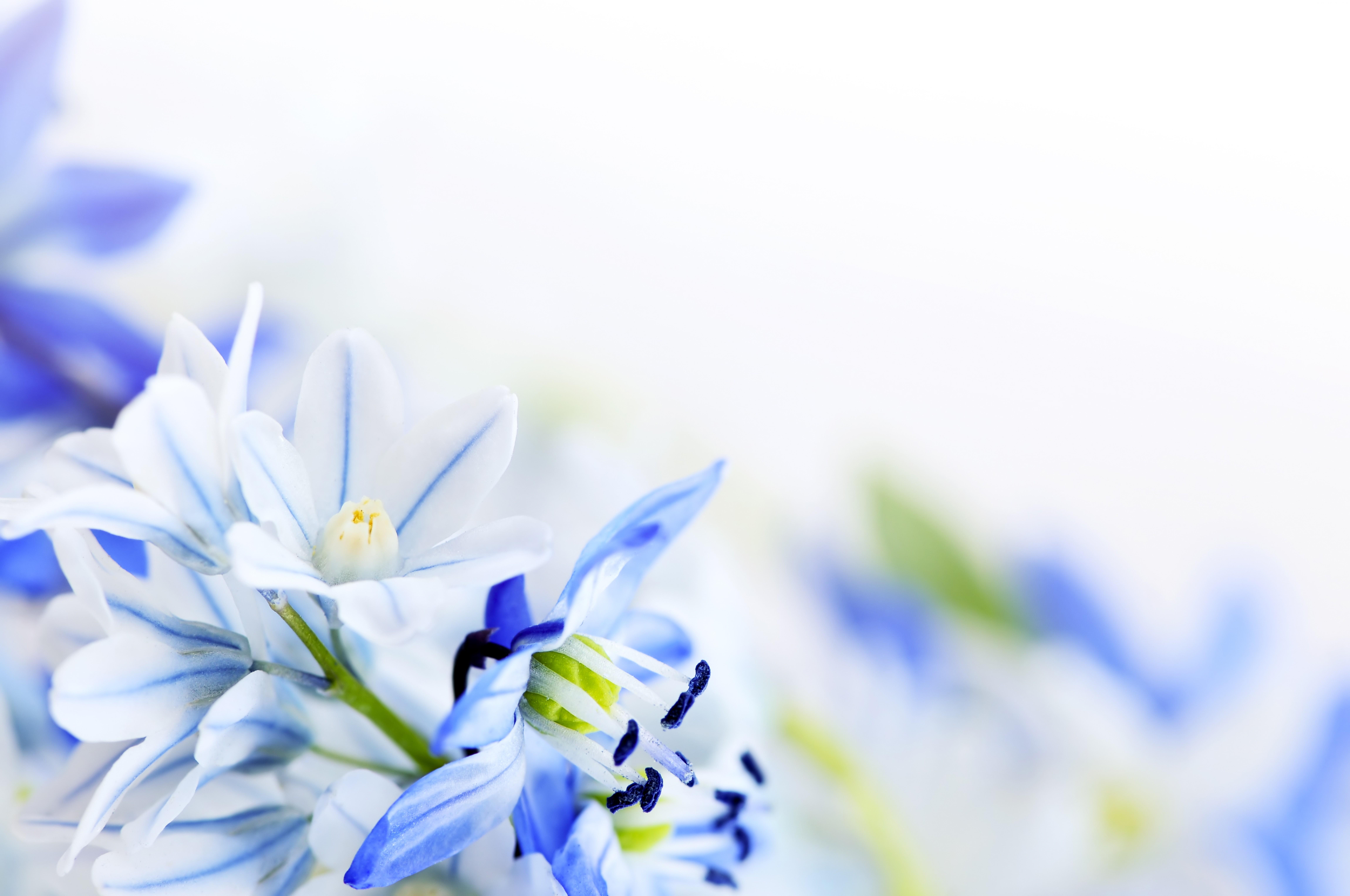 9200x6110 Funeral Wallpaper