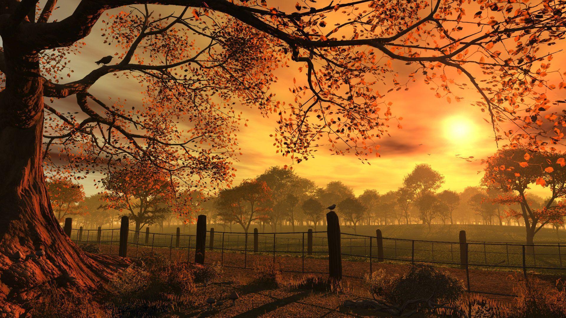 Autumn Sunset HD Wallpapers - Top Free Autumn Sunset HD Backgrounds ...