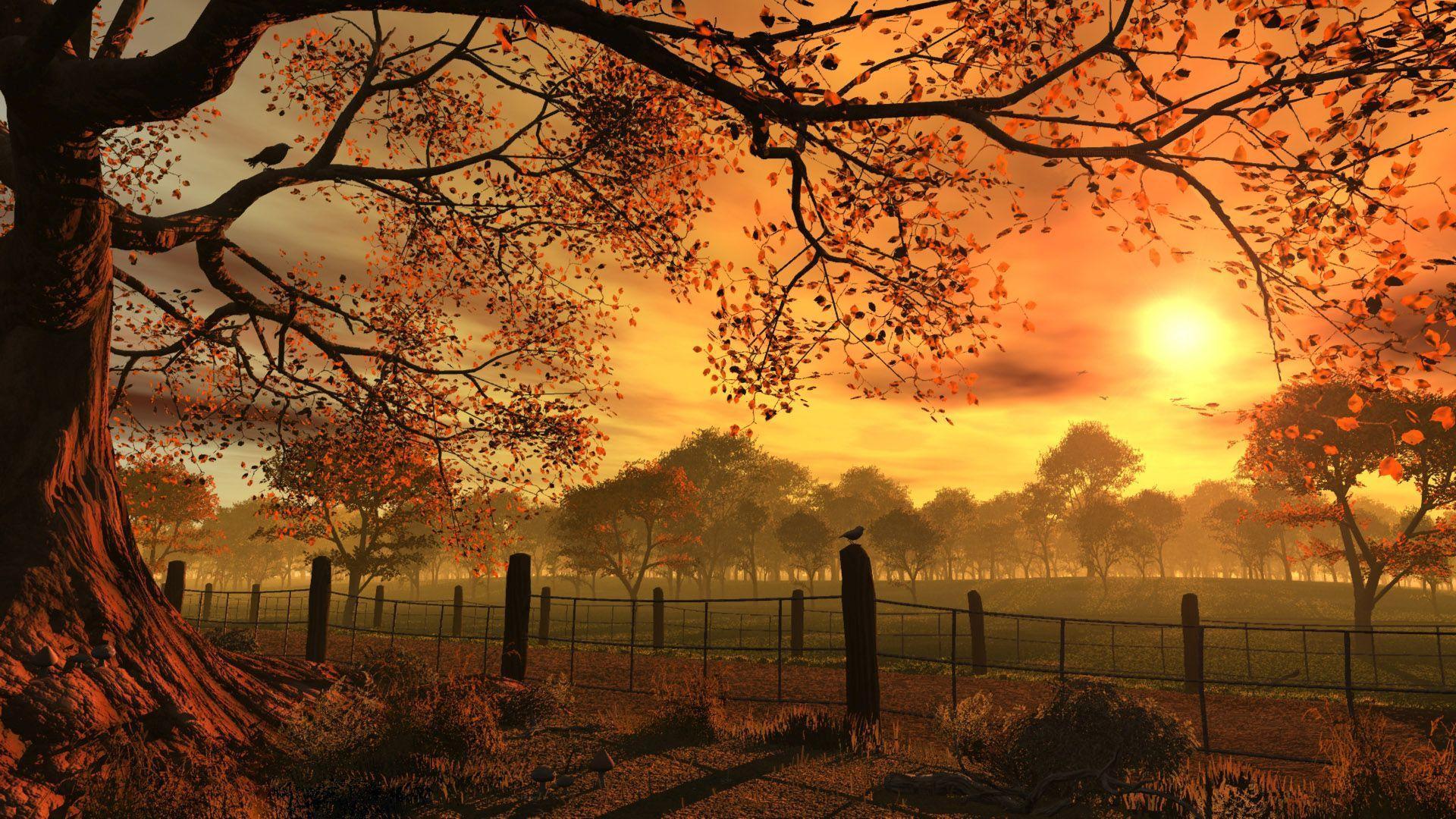Autumn Sunset HD Wallpapers Top Free Autumn Sunset HD Backgrounds 