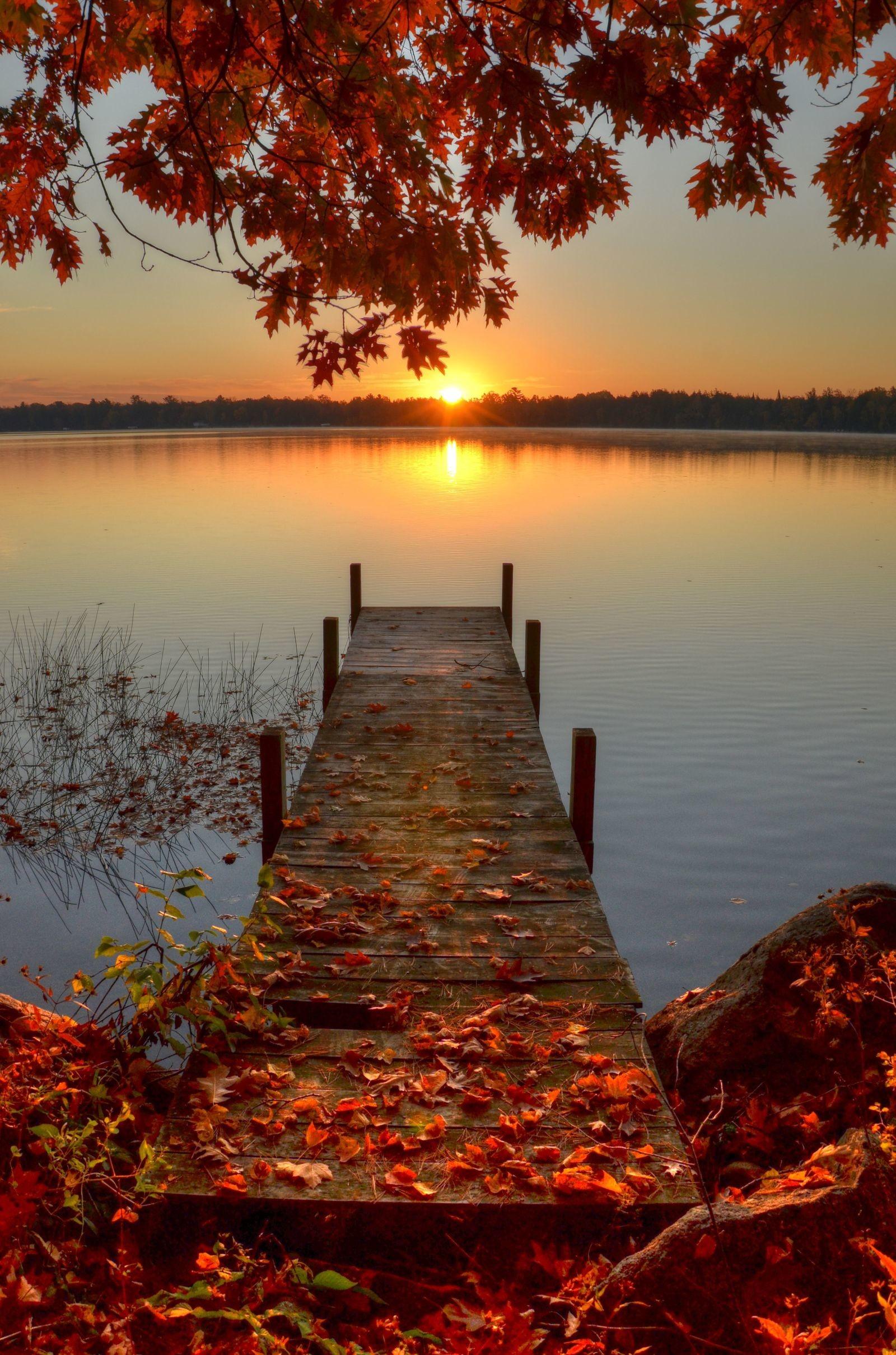 1600x2419 Autumn Scriptures Verses