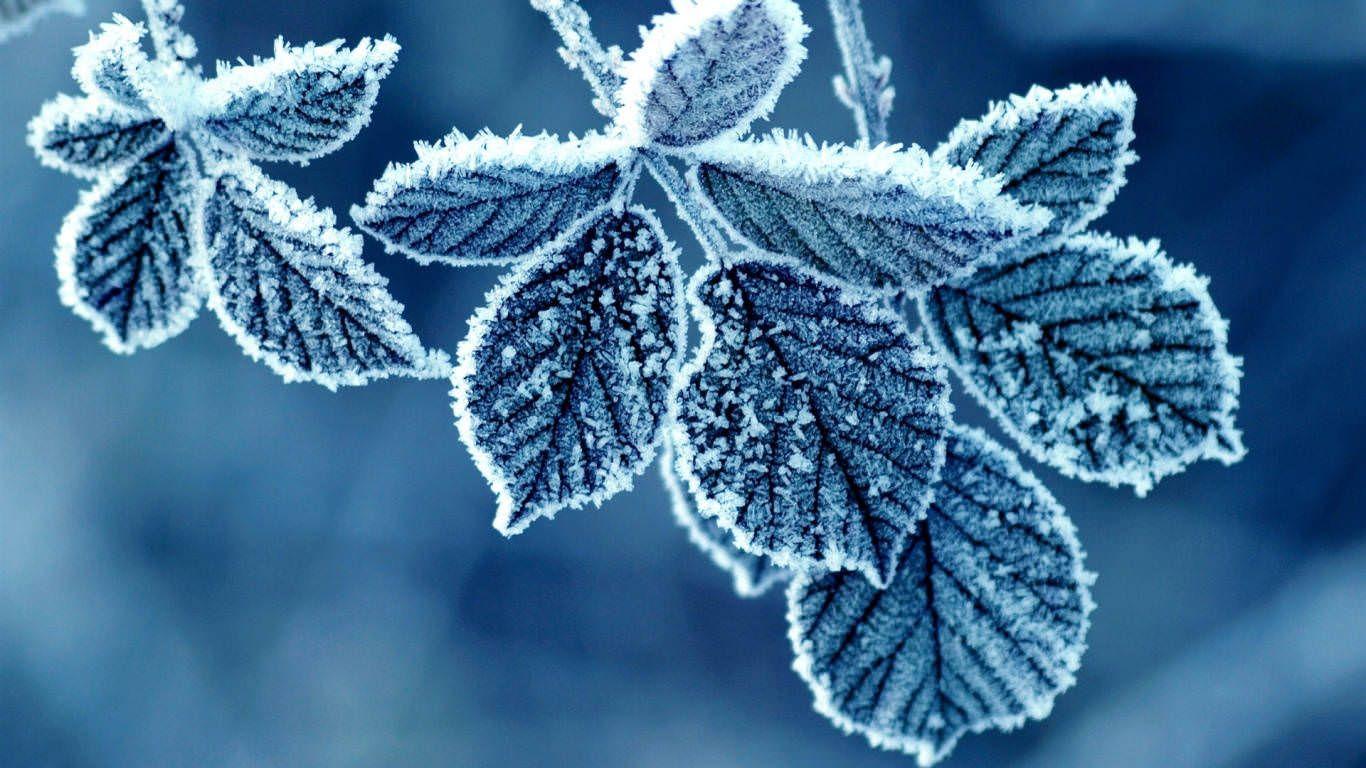 1366x768 Blue Crystal Wallpaper, Background, Image, Picture