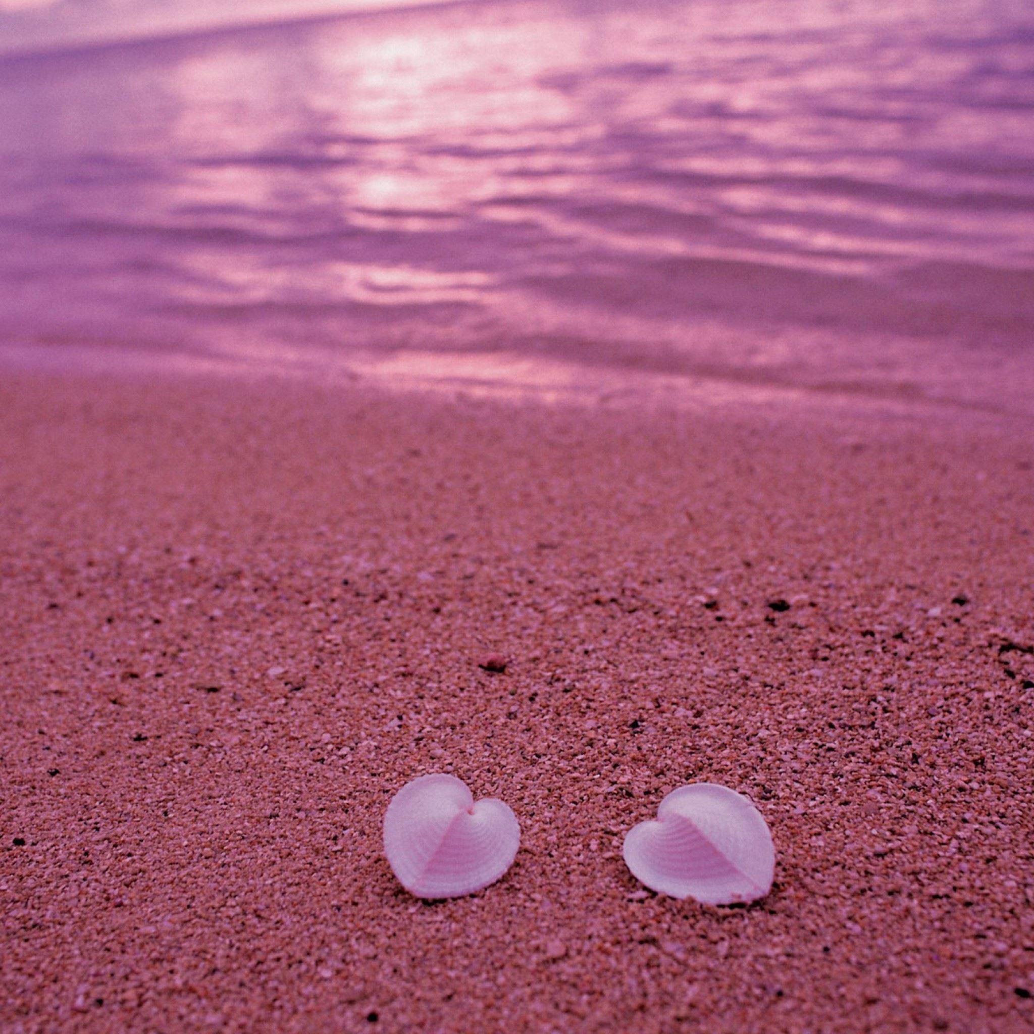 2048x2048 Heart Shaped Seashells On Pink Beach iPad Air Wallpaper Free Download