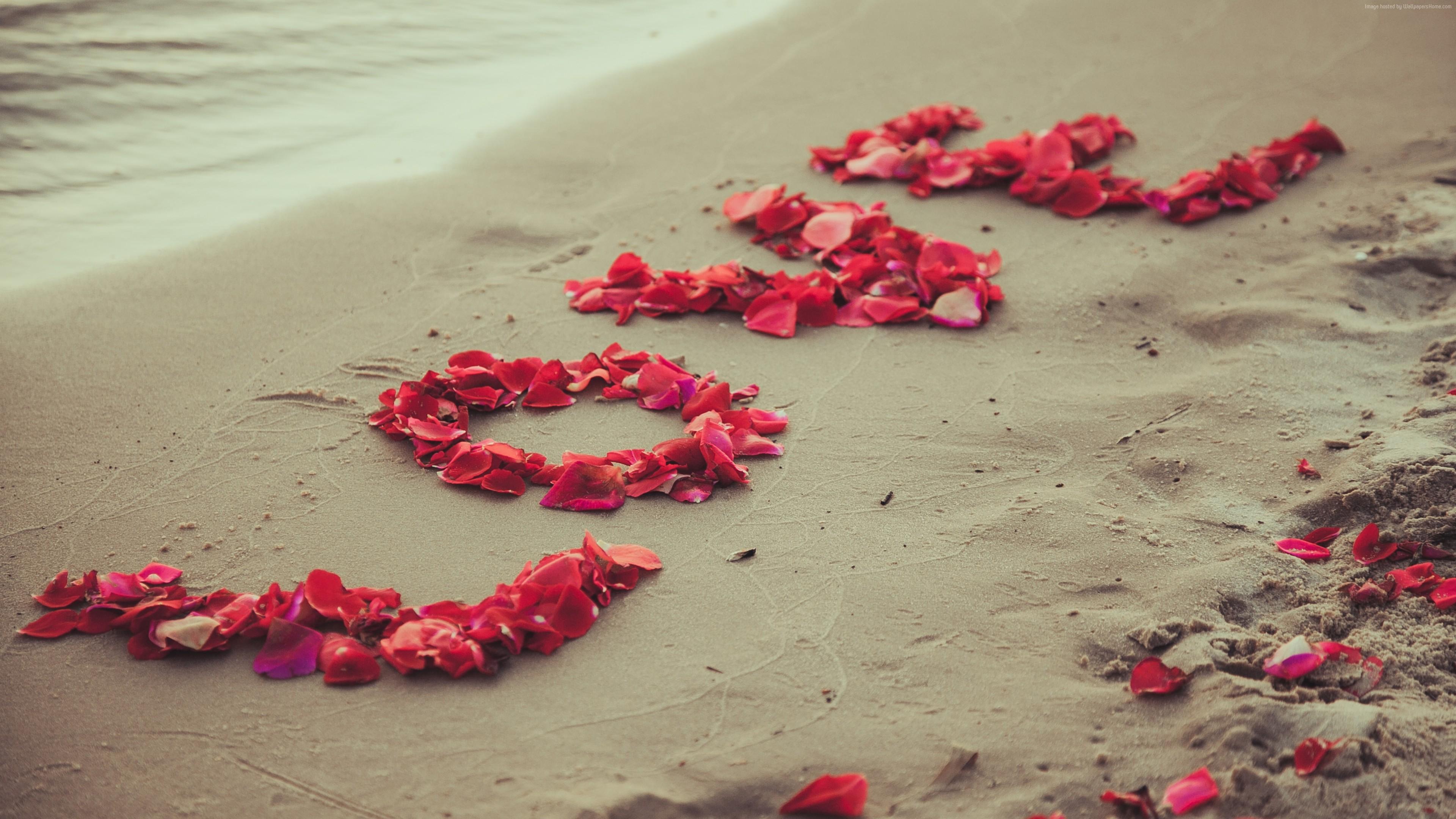 3840x2160 Stock Image love image, heart, 5k, beach, sea, flowers, Stock Image Wallpaper Download Resolution 4K Wallpaper