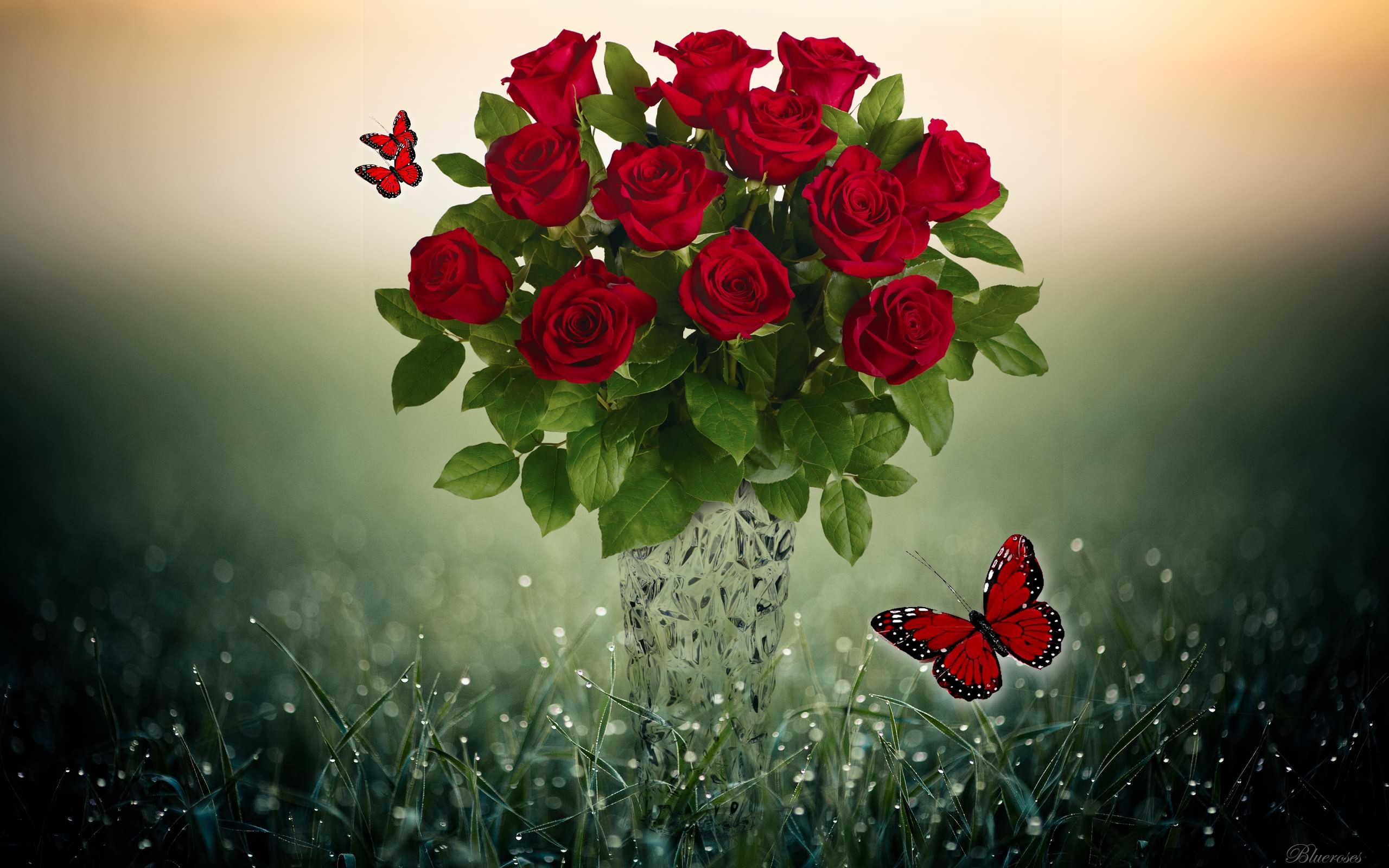 2560x1600 Red Roses and Butterflies HD Wallpaper