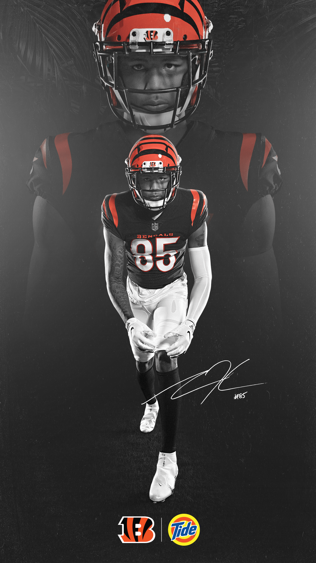 1080x1920 Cincinnati Bengals Fans