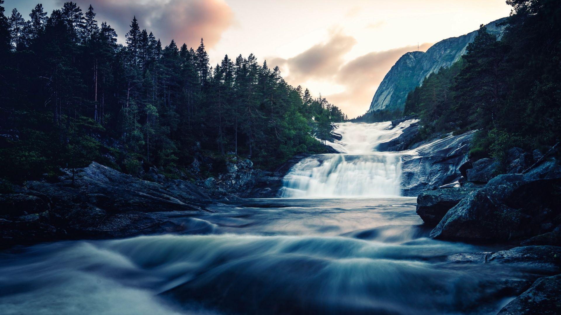 1920x1080 Desktop wallpaper stream of river, water flow, forest, nature, HD image, picture, background, 50add5