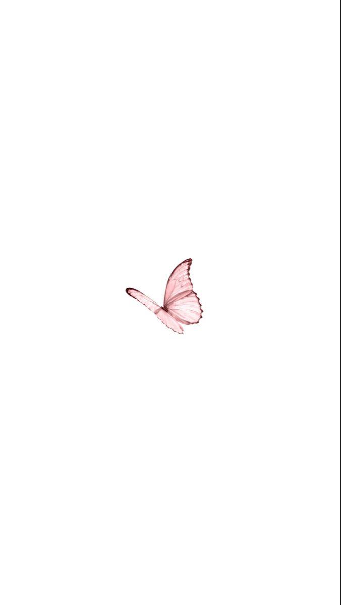 Minimalist Butterfly Wallpapers - Top Free Minimalist Butterfly