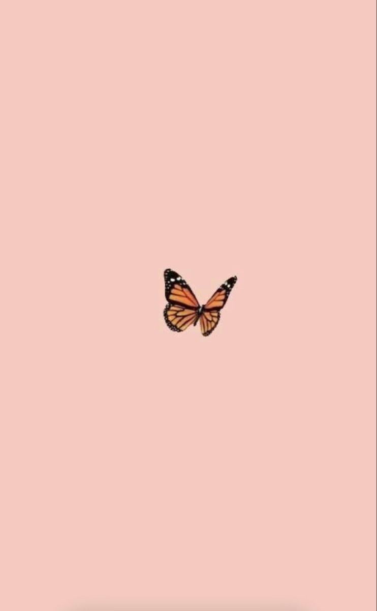 Minimalist Butterfly Wallpapers - Top Free Minimalist Butterfly ...