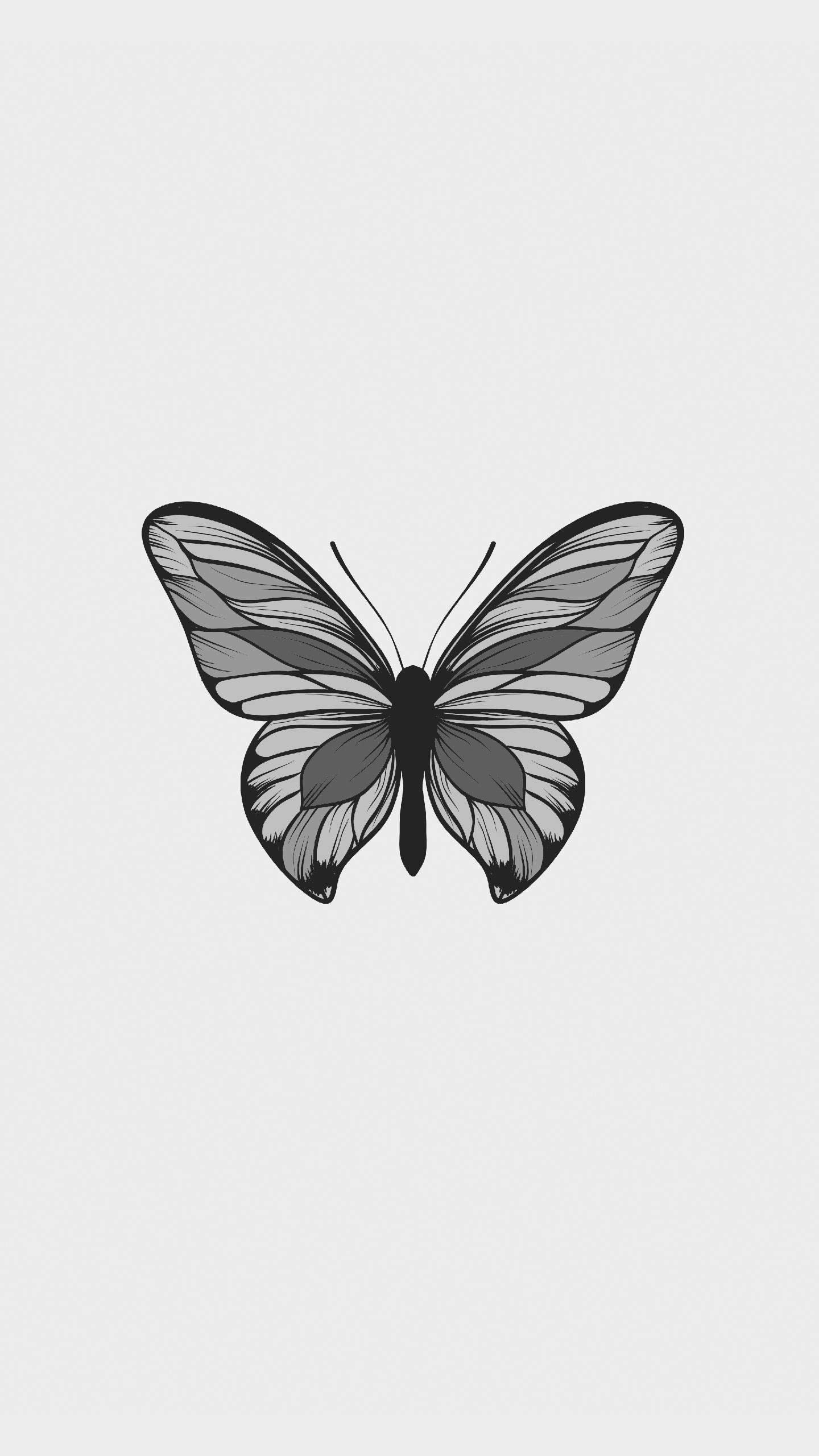 Minimalist Butterfly Wallpapers - Top Free Minimalist Butterfly ...