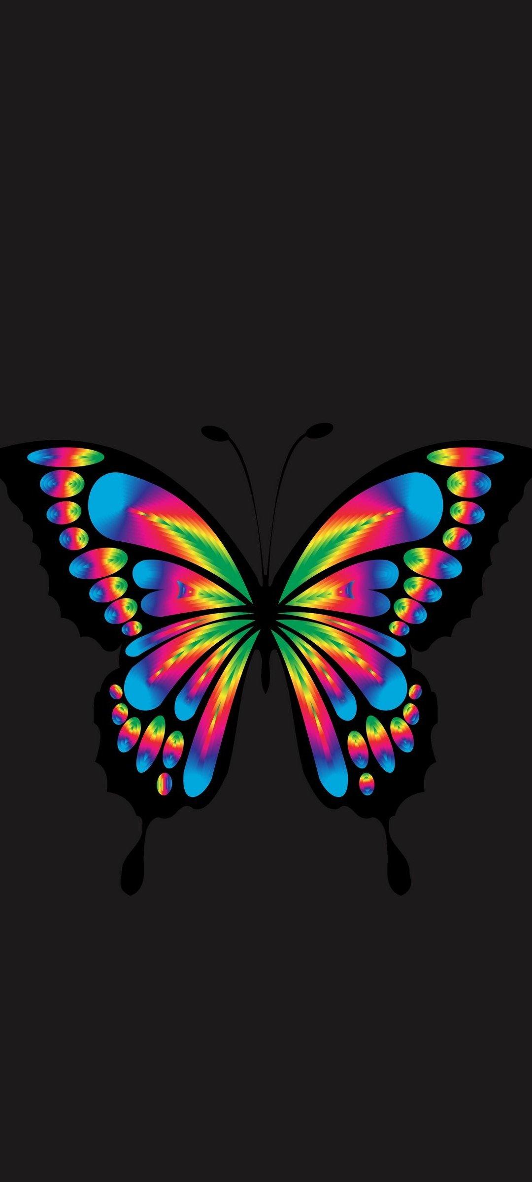 Minimalist Butterfly Wallpapers Top Free Minimalist Butterfly Backgrounds Wallpaperaccess