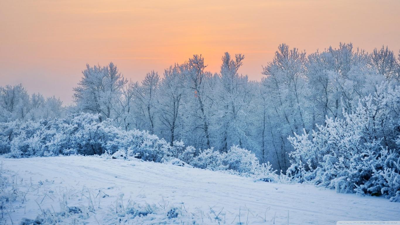 Snow Winter Wallpapers - Top Free Snow Winter Backgrounds - WallpaperAccess