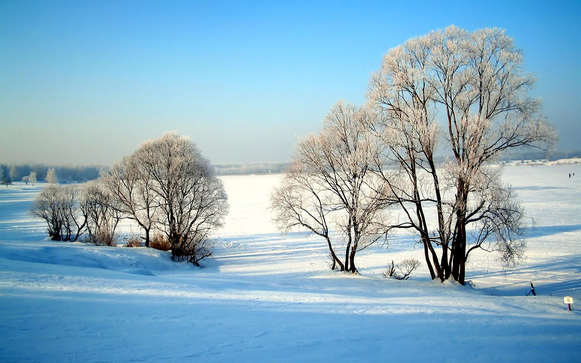 1920x1200 Snow Winter Wallpaper