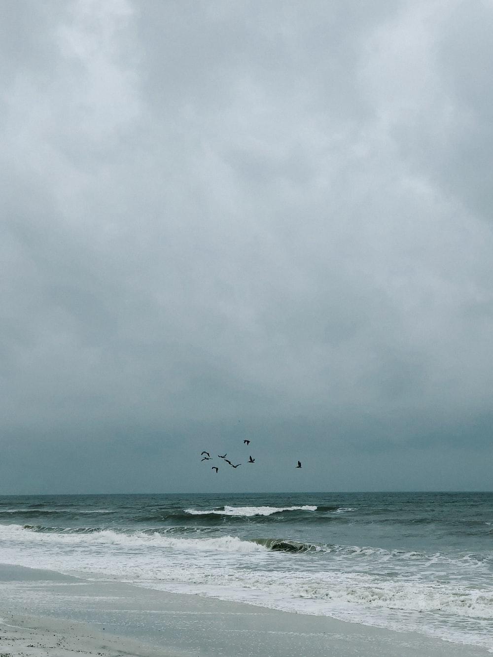 1000x1333 Cloudy Beach Picture. Download Free Image