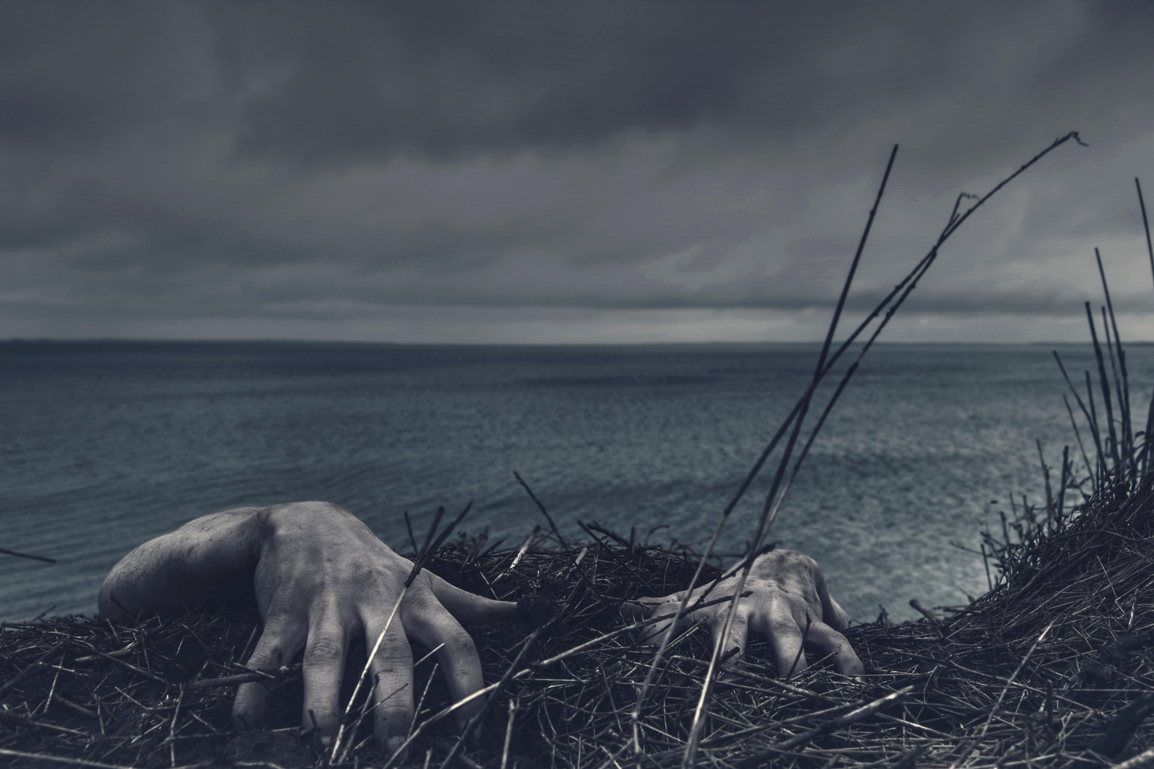 4608x3072 4608x3072 #dirty, #holding, #cloudy, #sea, #halloween, #rain, #hand, #cloud, #cliff, #water, #dark, #ocean, #hands, #Free image, #storm, #grass, #motivation, #creative, #beach, #hanging, #climbing HD Wallpaper