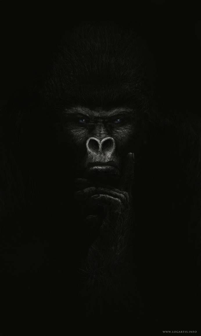 692x1154 Gorilla by logartis. Gorilla tattoo, Gorillas art, Gorilla wallpaper