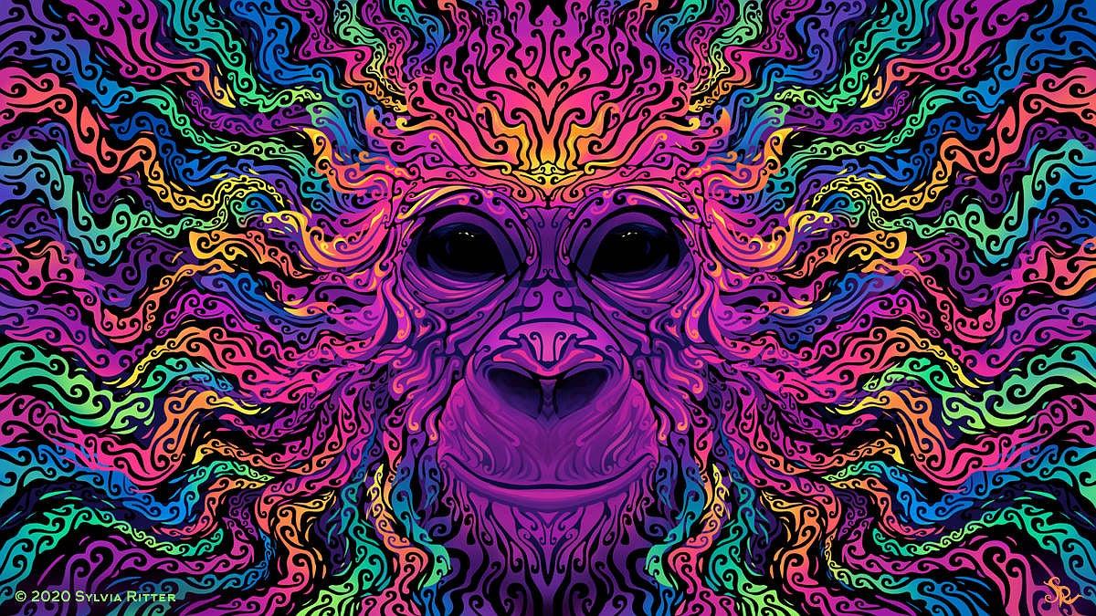 1200x675 A groovy gorilla