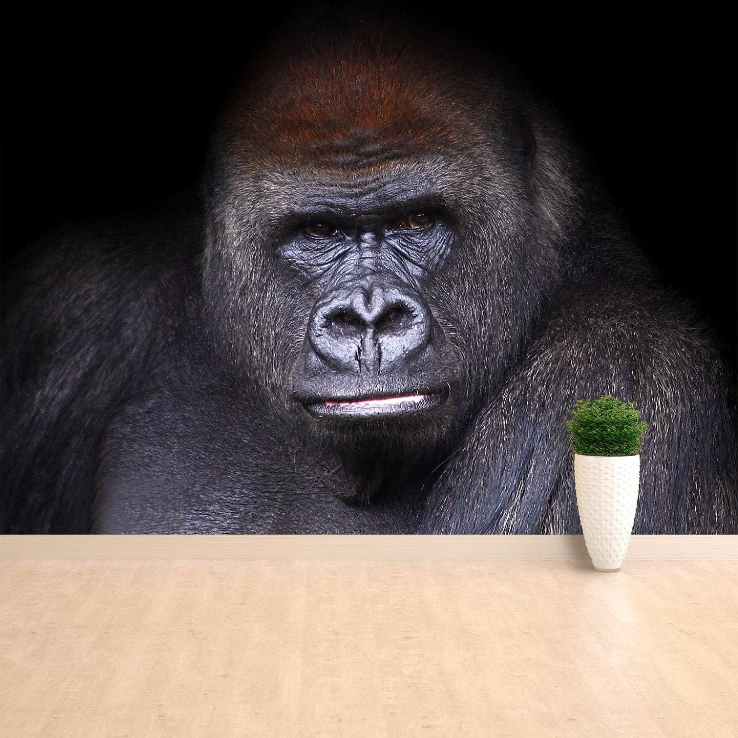 Gorilla Art Wallpapers - Top Free Gorilla Art Backgrounds - WallpaperAccess