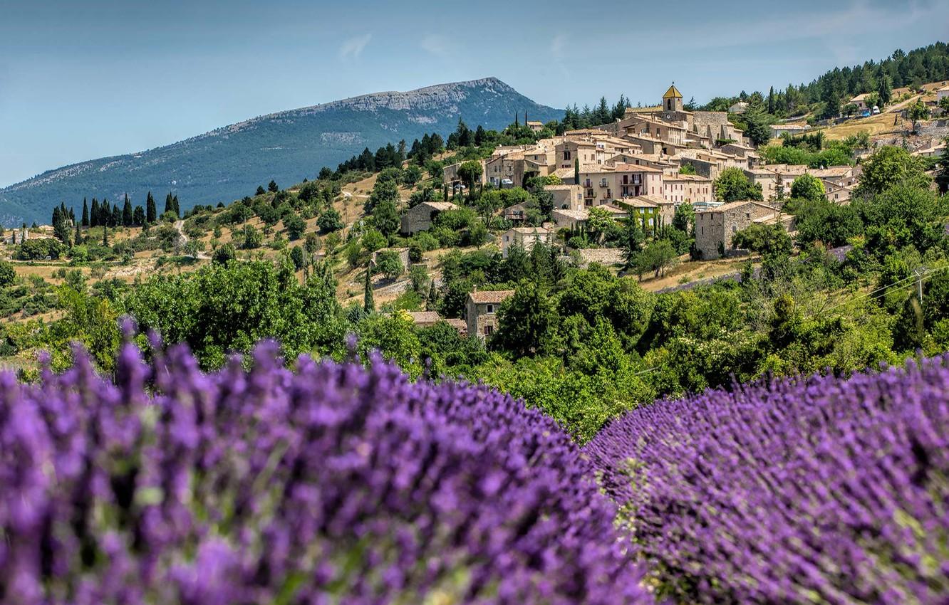 1332x850 Wallpaper France, village, lavender, Provence image for desktop, section город