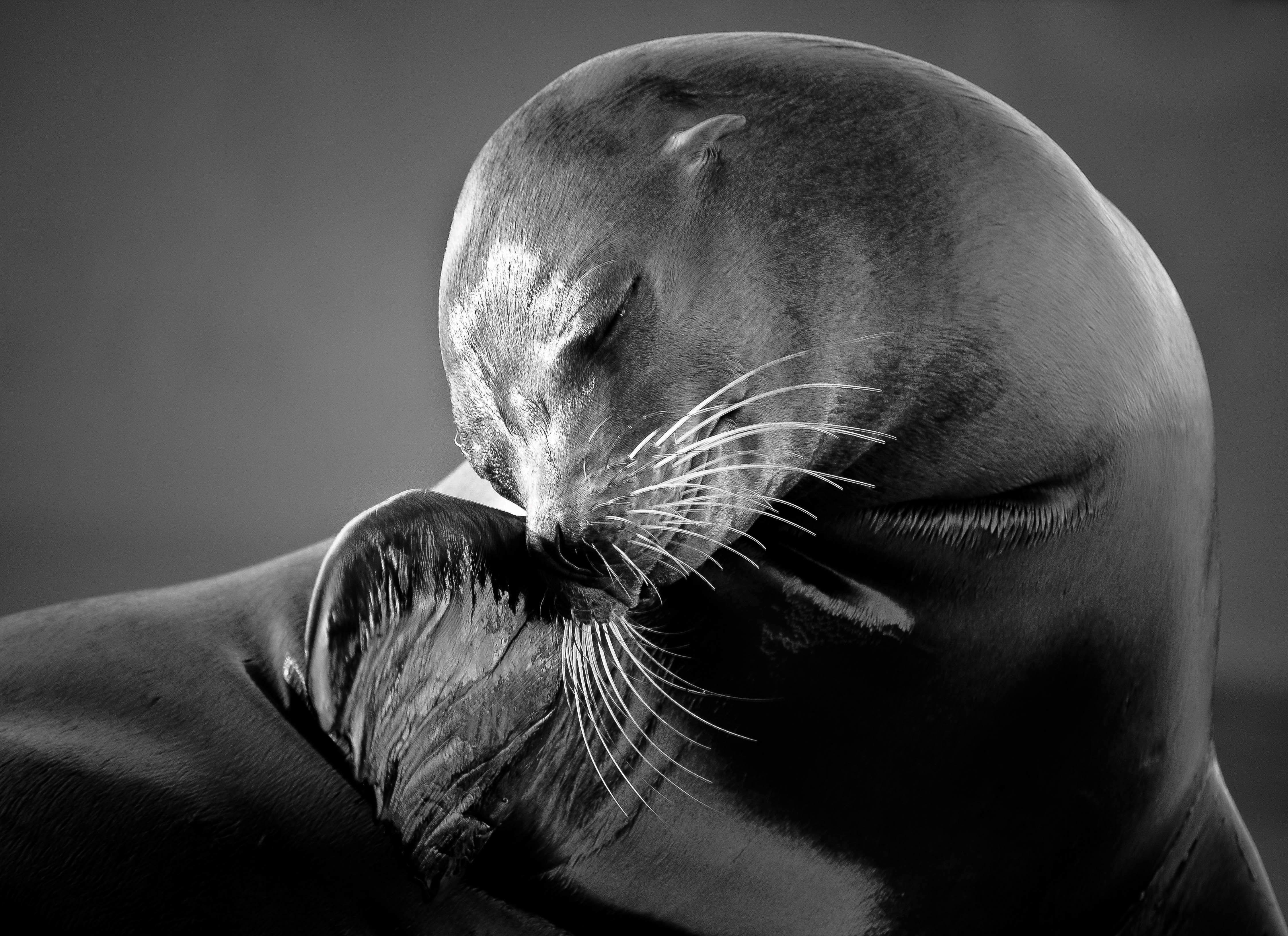 Black Sea HD Wallpapers Top Free Black Sea HD Backgrounds