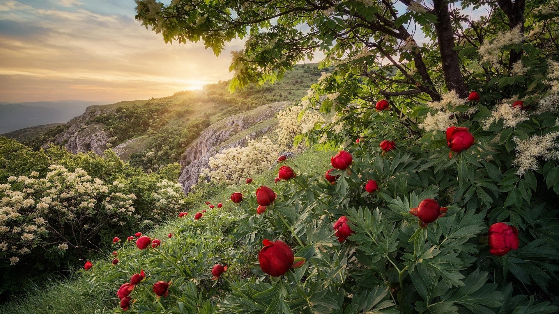 1920x1080 bulgaria HD wallpaper, background