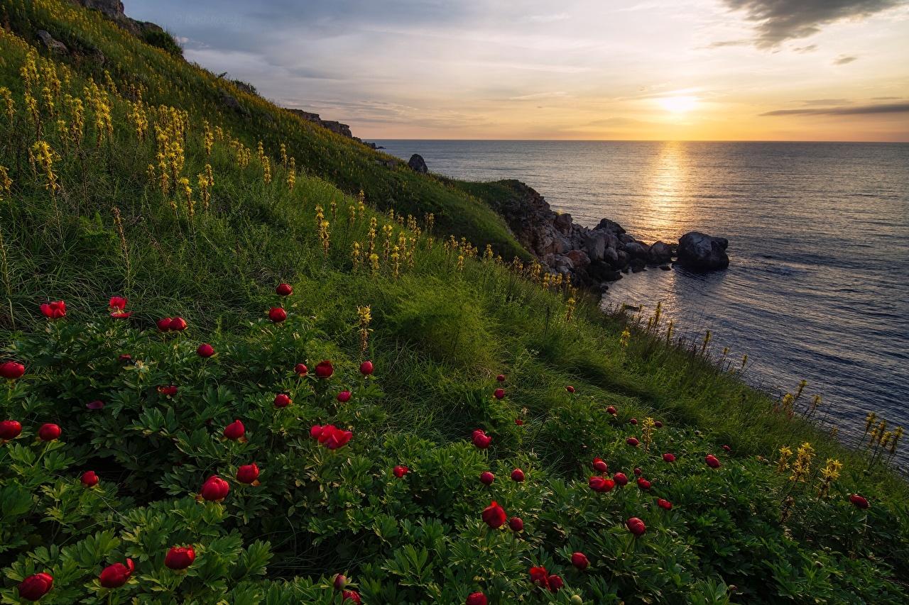 1280x853 4k Wallpaper Nature Bulgaria