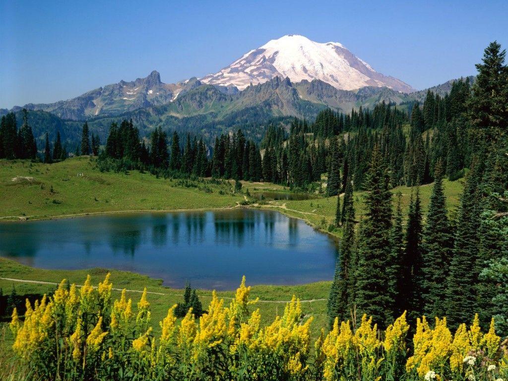 1024x768 Google Image Result For Nature Wallpaper Nature. Mount Rainier National Park, Nature Photo, Nature Photo Wallpaper