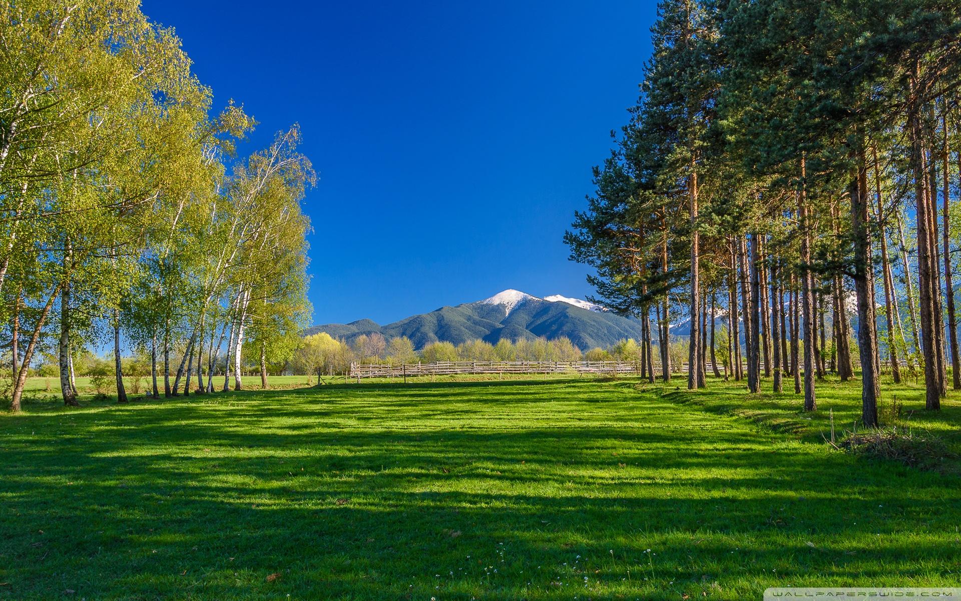 1920x1200 One Sunny Day In Bulgaria 4k HD Desktop Wallpaper For HD Wallpaper