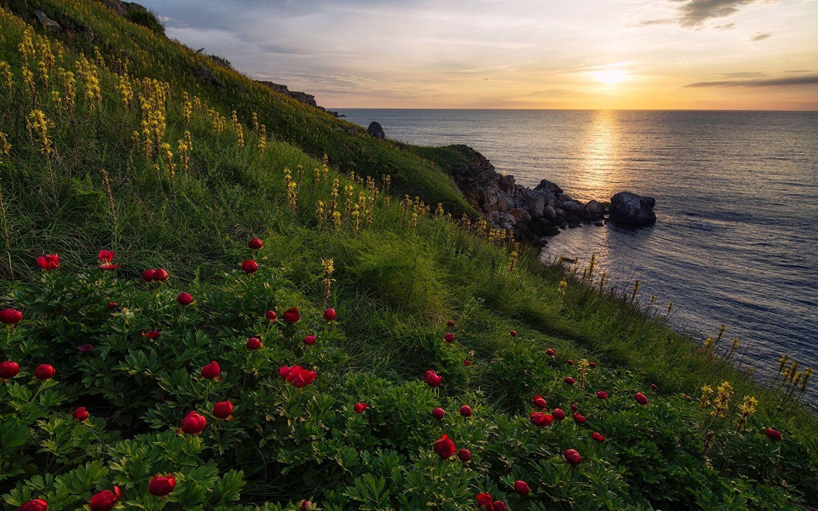 Black Sea HD Wallpapers Top Free Black Sea HD Backgrounds