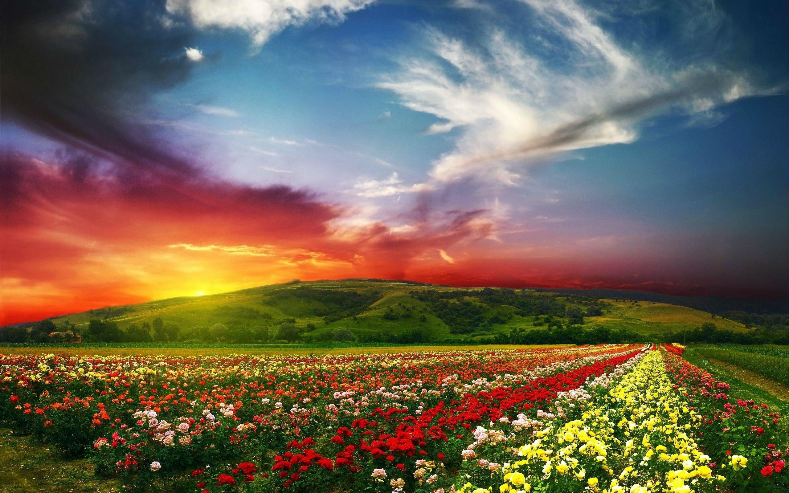 2560x1600 Bulgaria Nature Widescreen Wallpaper 95310