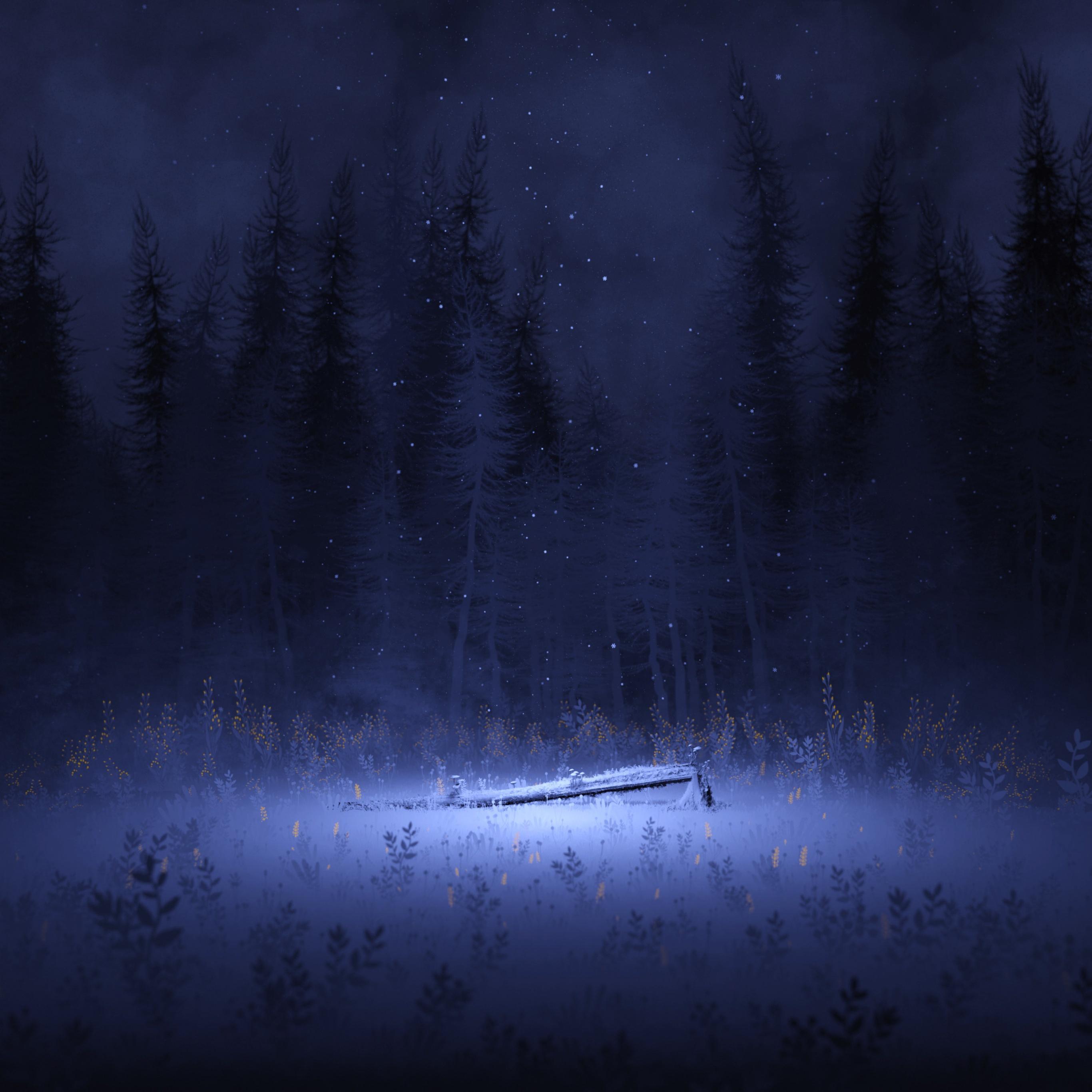 2732x2732 Light Wallpaper 4K, Night, Forest, Winter, Nature