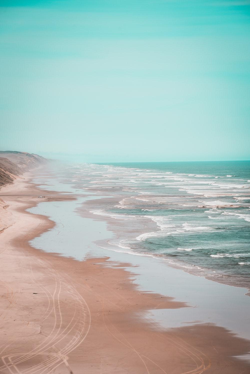 1000x1498 Flamingo Beach Picture. Download Free Image