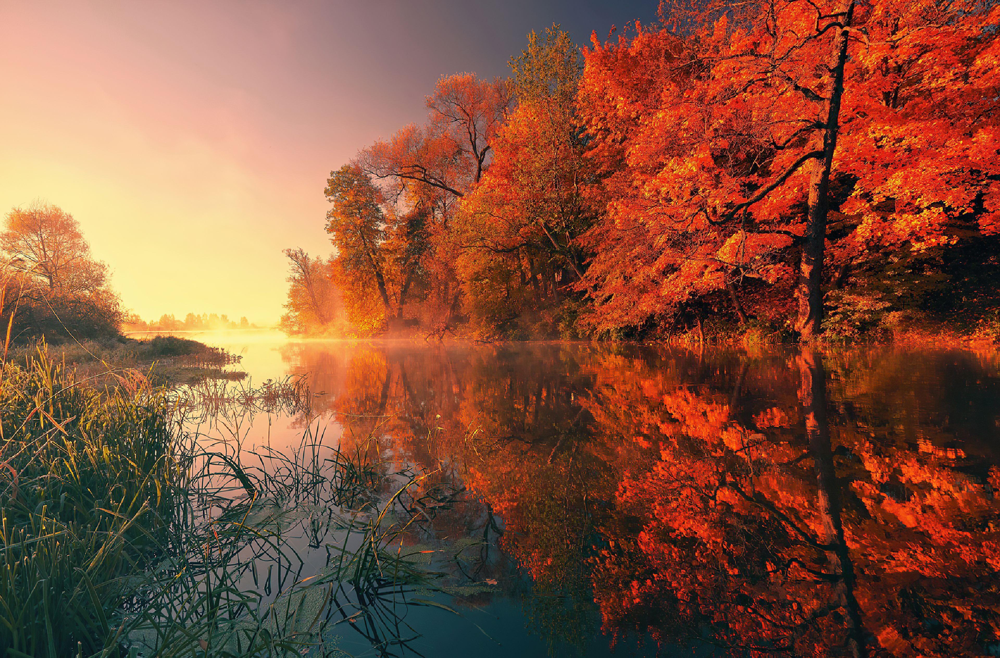 3840x2528 Reflections Of Autumn Wallpaper