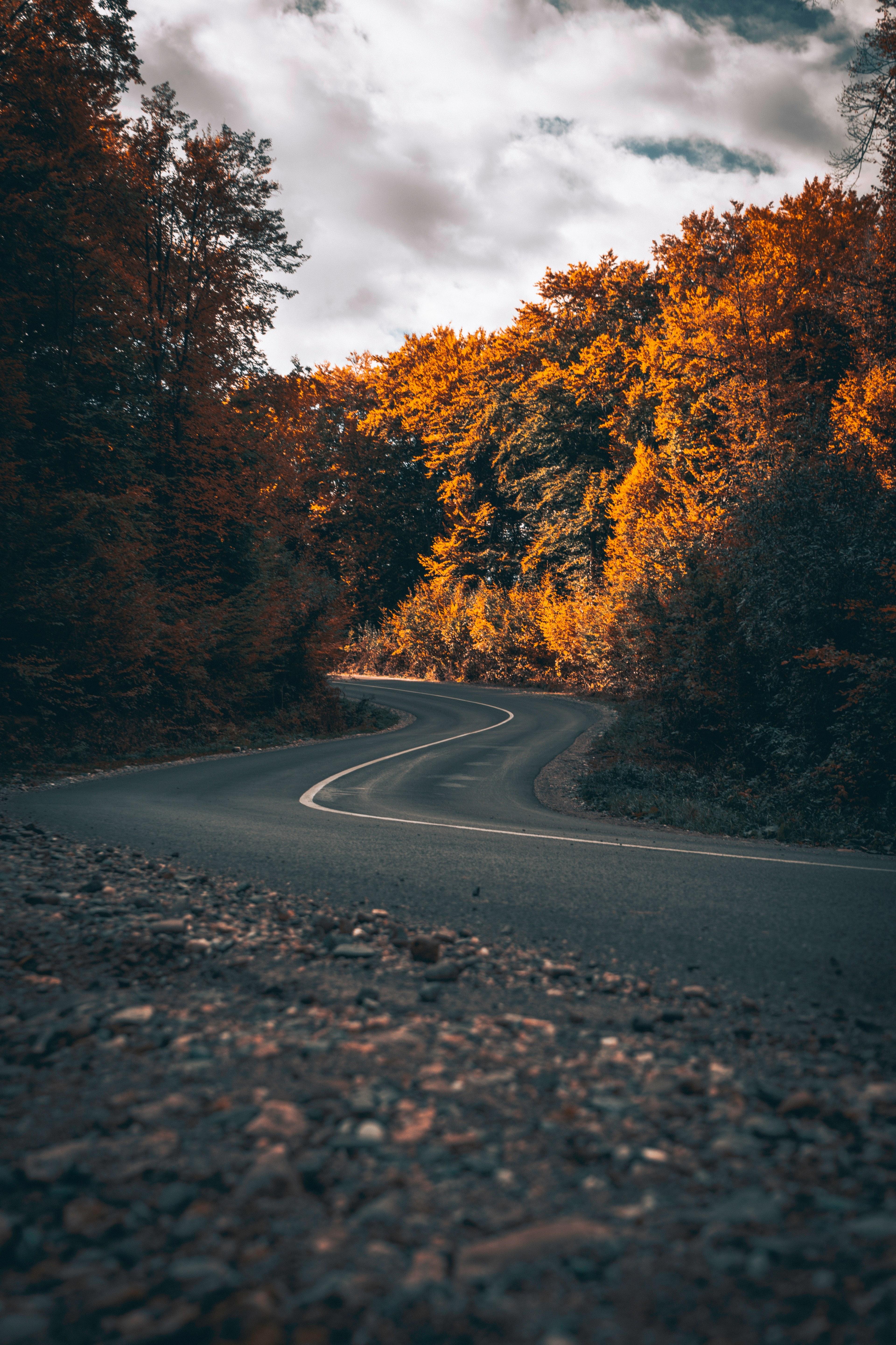 3840x5760 Wallpaper for mobile phones HD wallpaper, background