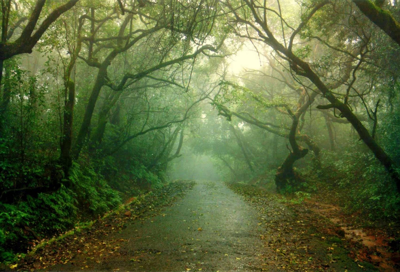 1600x1088 PANCHGANI Photo, Image and Wallpaper, HD Image, Near