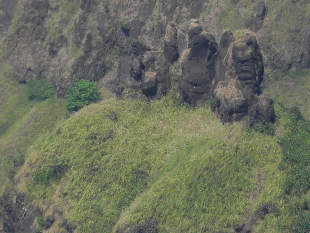 1024x768 MONKEY POINT Photo, Image and Wallpaper, HD Image, Near
