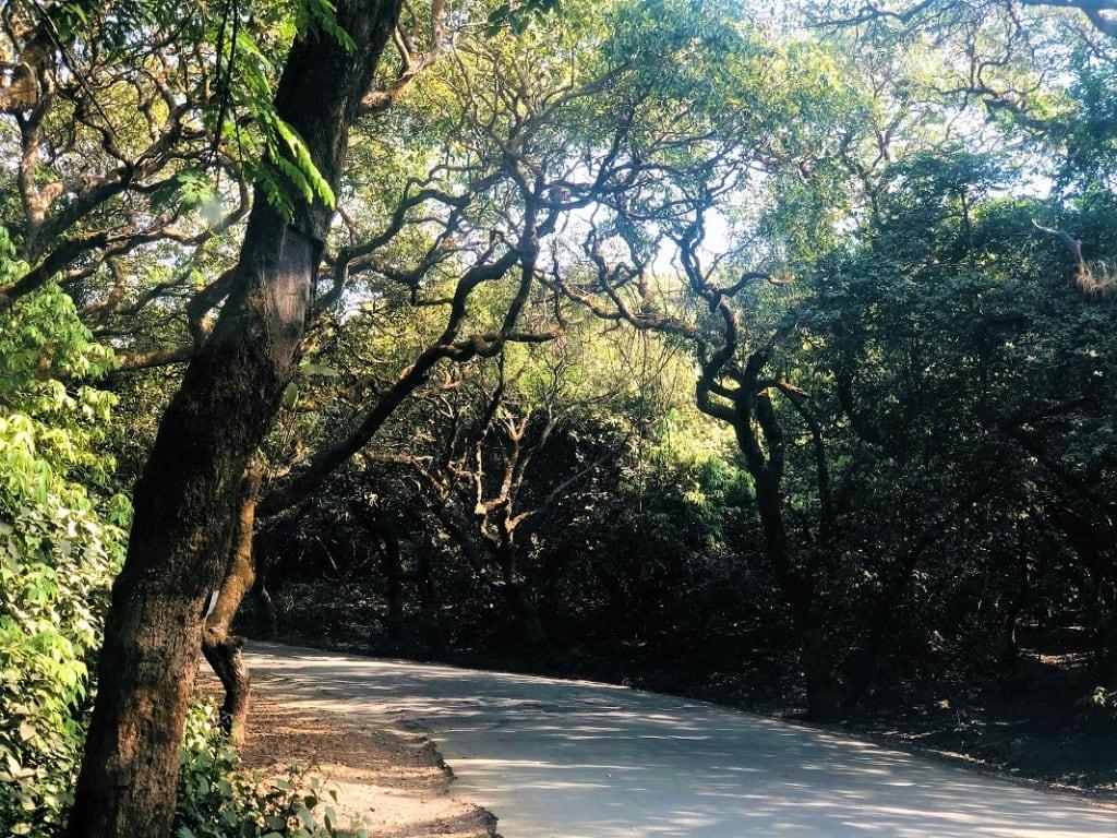 1024x768 Mahabaleshwar travel guide: Top experiences you should not miss!