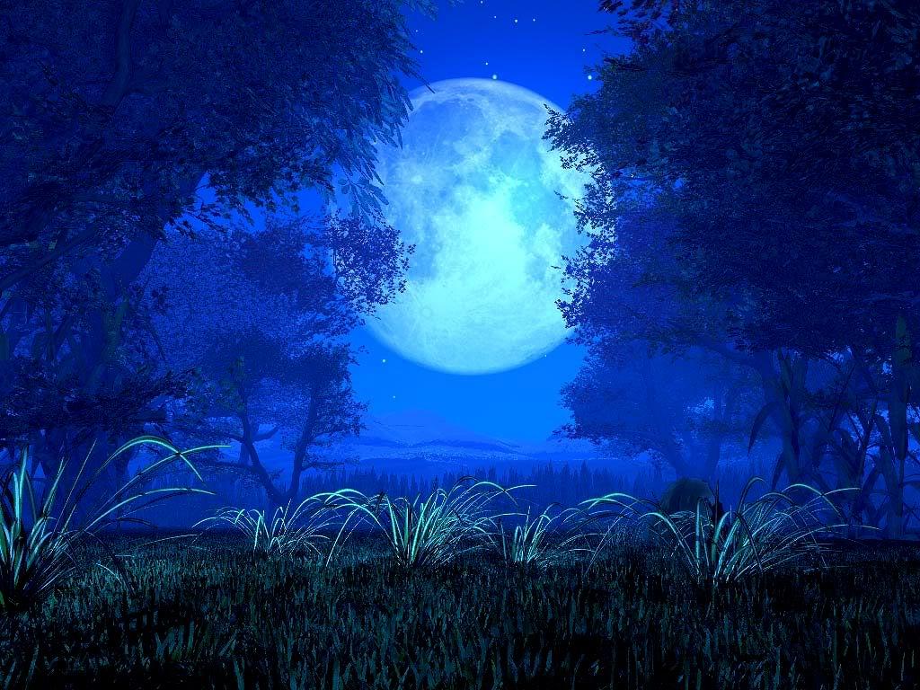 1024x768 Cool Blue Night