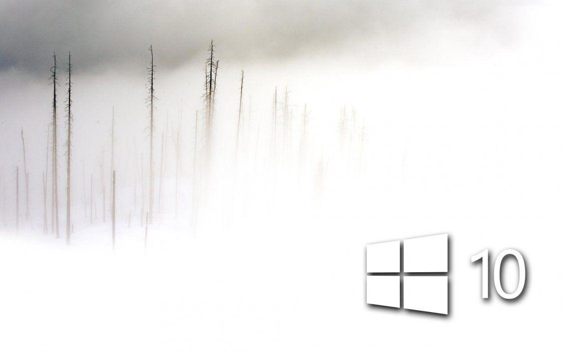 1130x706 White Windows Wallpaper
