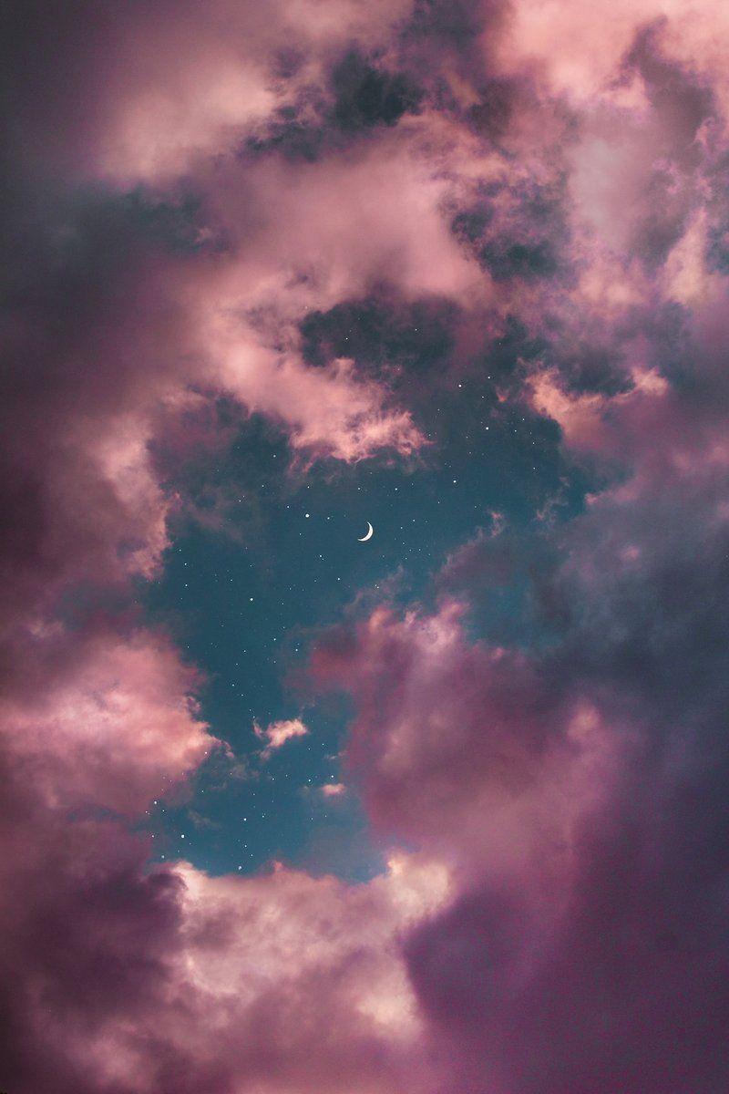 800x1200 Pink Dream Wallpaper