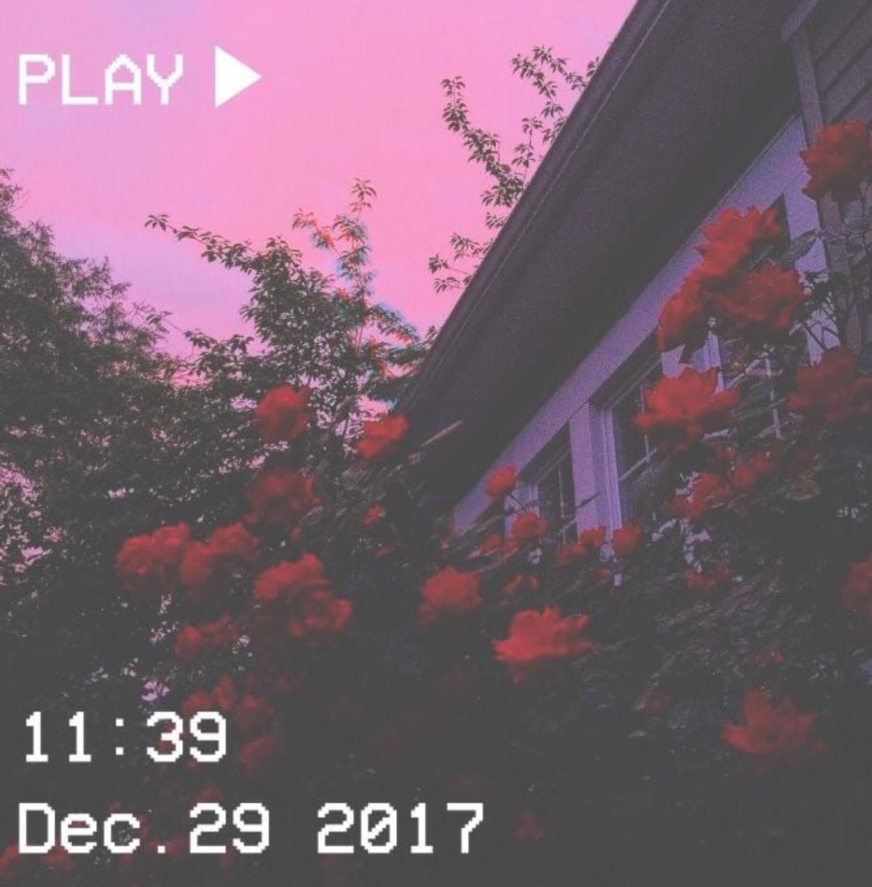 1250x1272 aesthetic aestheticwallpaper 311823830011201