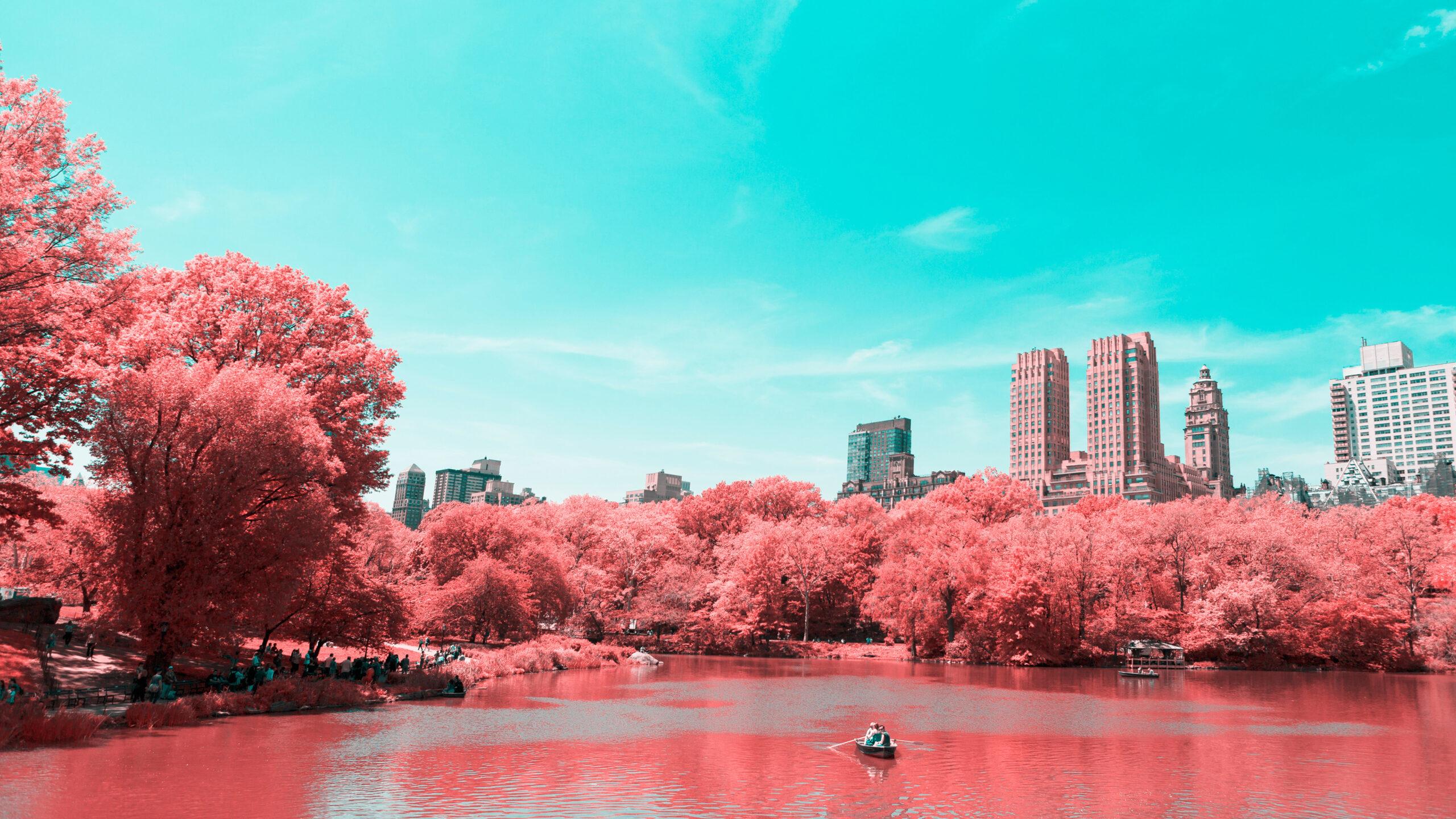 2560x1440 Central Park 3840×2160 Infrared Lake Manhattan New York City 4k