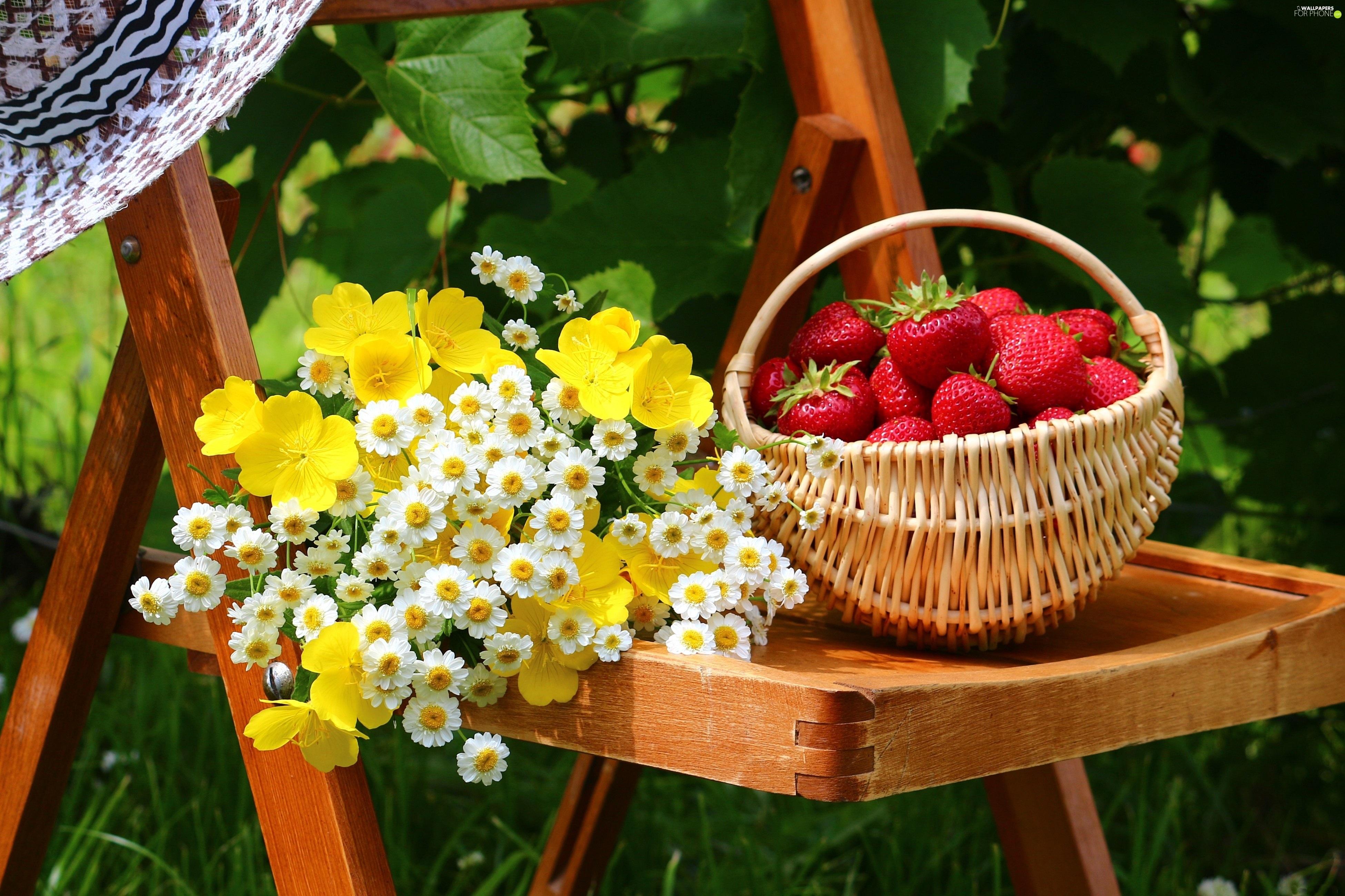 Лето ягоды цветы. Красивое лето. Летнее настроение. Корзина с фруктами и цветами.